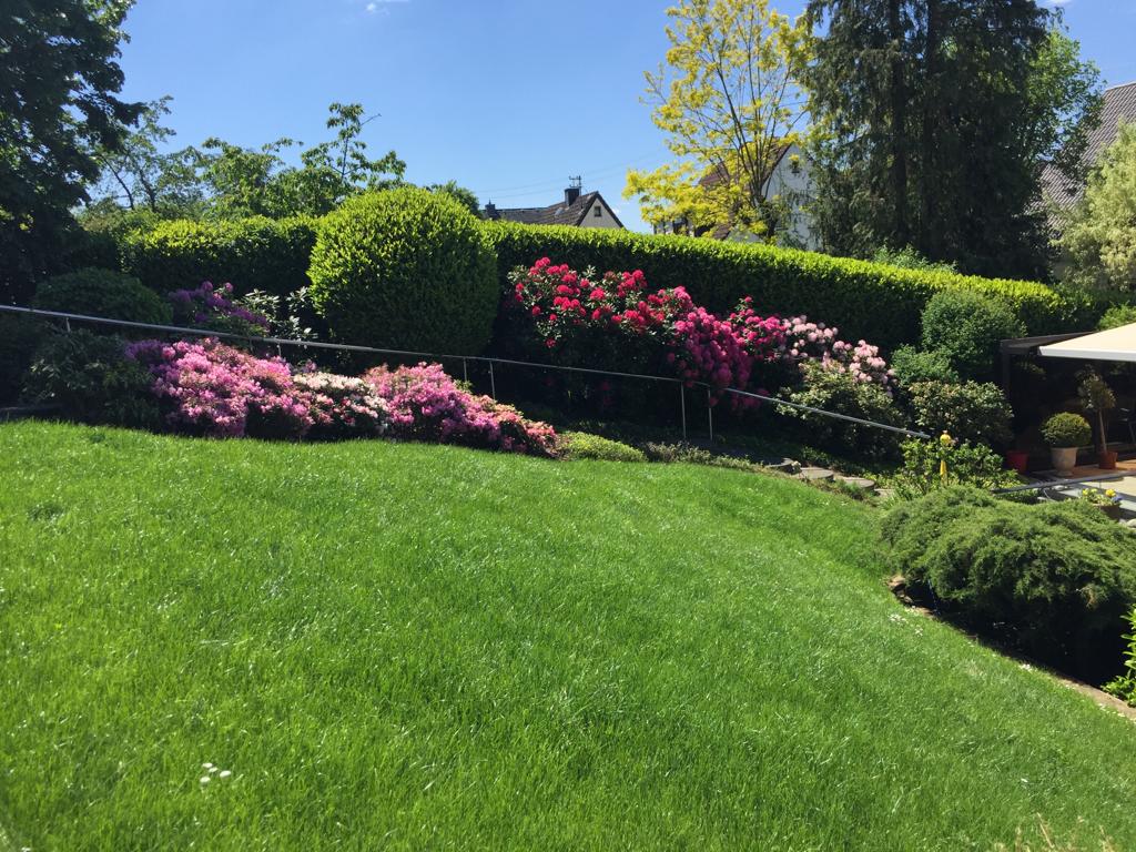 Citaku Gartenpflege Citaku Gartenpflege